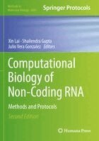 Xin Lai, Shailendra Gupta, Julio Vera Gonzalez - Computational Biology of Non-Coding RNA, Häftad
