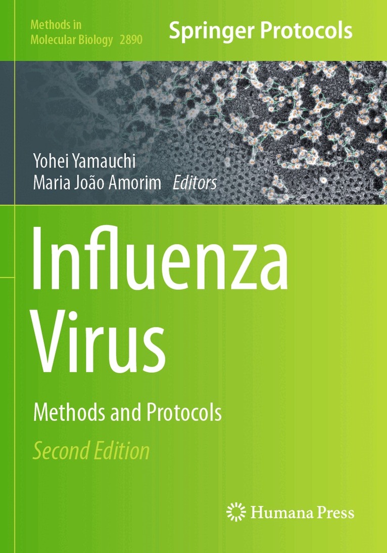 Yohei Yamauchi, Maria João Amorim - Influenza Virus, Häftad