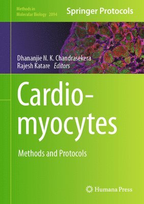 bokomslag Cardiomyocytes