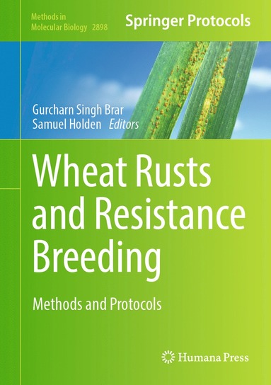 bokomslag Wheat Rusts and Resistance Breeding