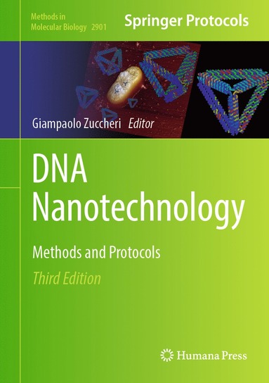 bokomslag DNA Nanotechnology