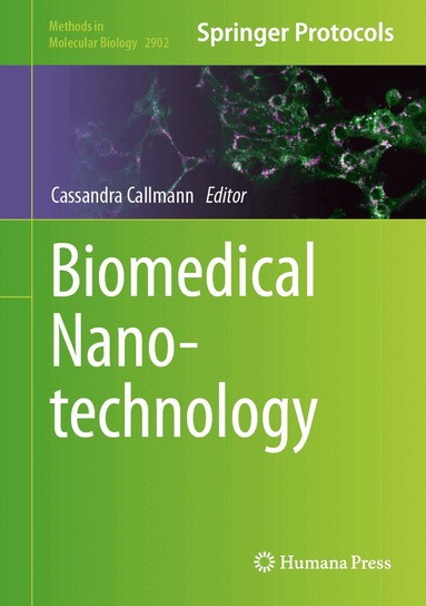Cassandra Callmann - Biomedical Nanotechnology, Inbunden