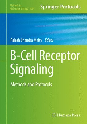 B-Cell Receptor Signaling