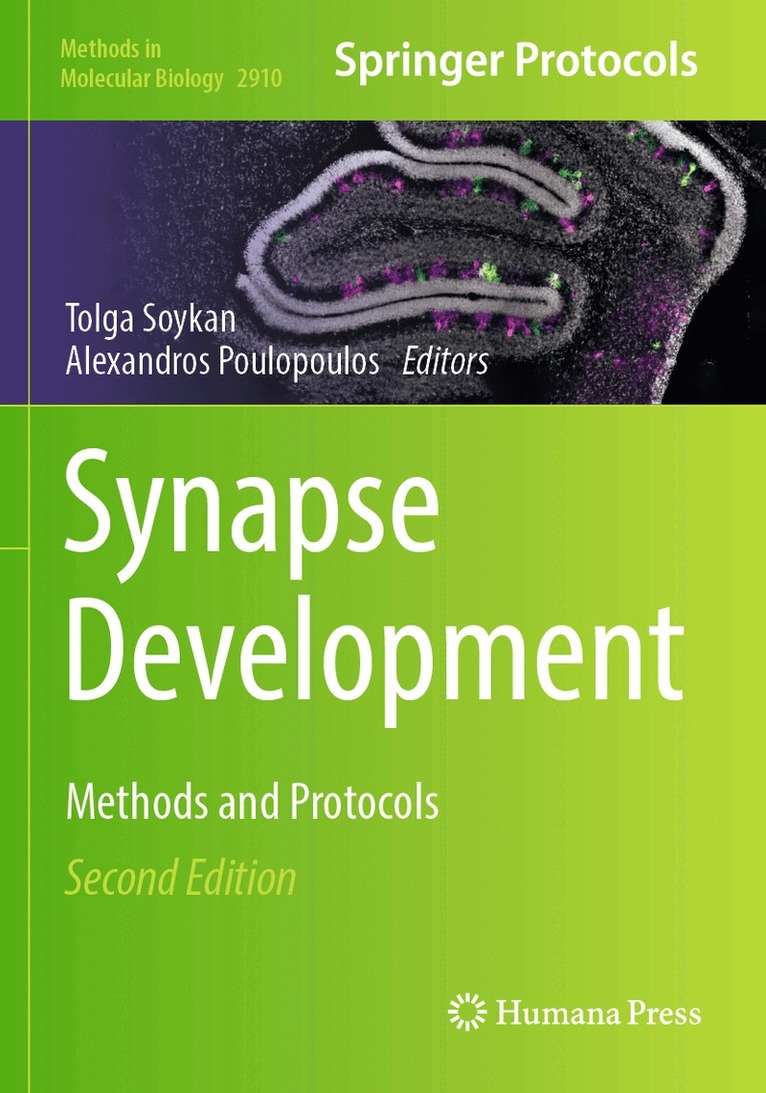 Tolga Soykan, Alexandros Poulopoulos - Synapse Development, Häftad
