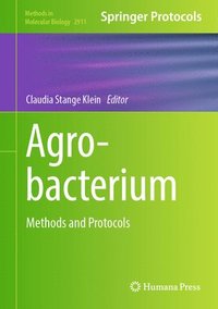 bokomslag Agrobacterium