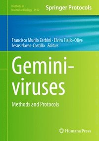 bokomslag Geminiviruses: Methods and Protocols