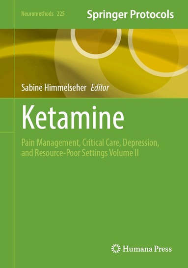 Sabine Himmelseher - Ketamine, Inbunden