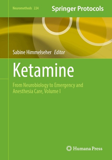 Sabine Himmelseher - Ketamine, Inbunden