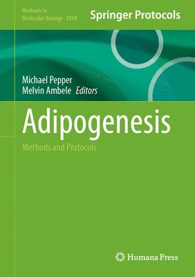 Adipogenesis 1
