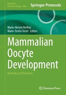 bokomslag Mammalian Oocyte Development