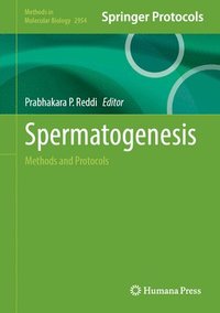 bokomslag Spermatogenesis: Methods and Protocols