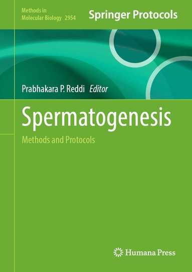 bokomslag Spermatogenesis