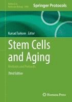 bokomslag Stem Cells and Aging