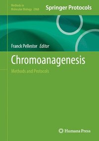 bokomslag Chromoanagenesis