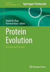 bokomslag Protein Evolution