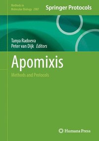 bokomslag Apomixis: Methods and Protocols