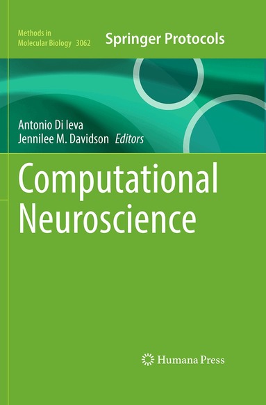Antonio Di Ieva, Jennilee M. Davidson - Computational Neuroscience, Inbunden