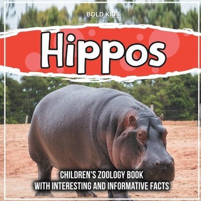 Hippos 1