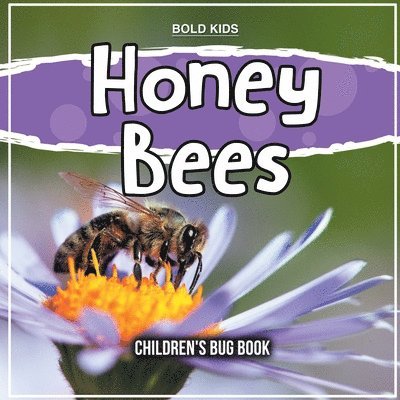 Honey Bees 1