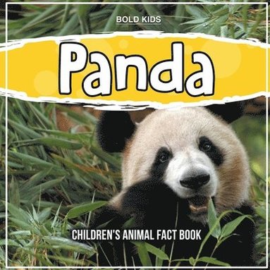 Bold Kids - Panda, Häftad