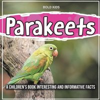 bokomslag Parakeets