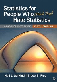 bokomslag Statistics for People Who (Think They) Hate Statistics: Using Microsoft Excel