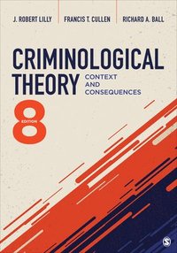 bokomslag Criminological Theory: Context and Consequences