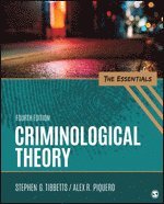 Stephen G. Tibbetts, Alex R. Piquero - Criminological Theory, Häftad