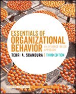 bokomslag Essentials of Organizational Behavior - International Student Edition