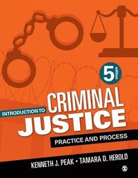 bokomslag Introduction to Criminal Justice: Practice and Process
