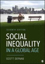 bokomslag Social Inequality in a Global Age