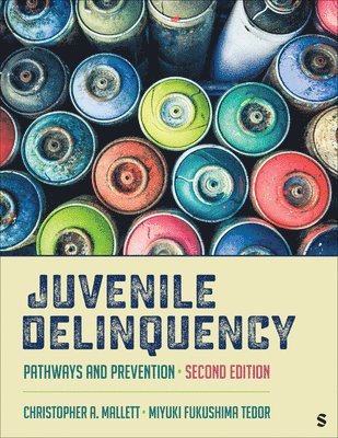 bokomslag Juvenile Delinquency