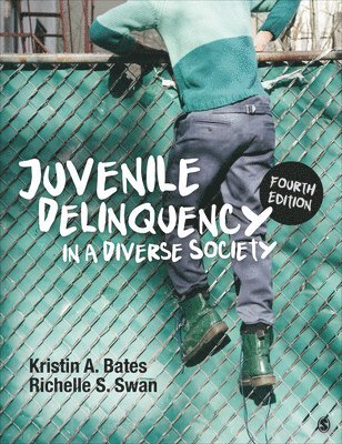 bokomslag Juvenile Delinquency in a Diverse Society