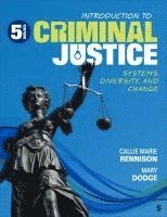 bokomslag Introduction to Criminal Justice: Systems, Diversity, and Change