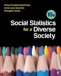 bokomslag Social Statistics for a Diverse Society