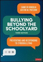 bokomslag Bullying Beyond the Schoolyard