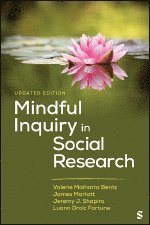 bokomslag Mindful Inquiry in Social Research