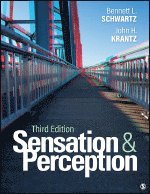 Sensation and Perception 1