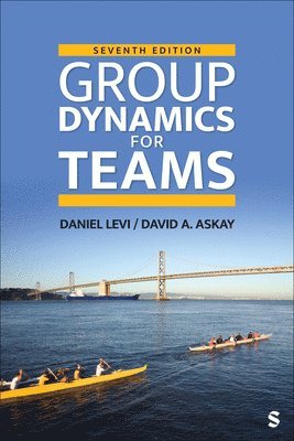 bokomslag Group Dynamics for Teams