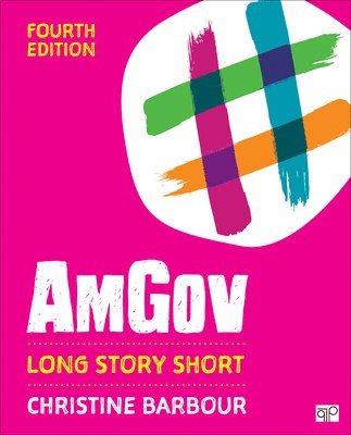 bokomslag Amgov: Long Story Short