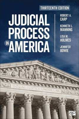 bokomslag Judicial Process in America