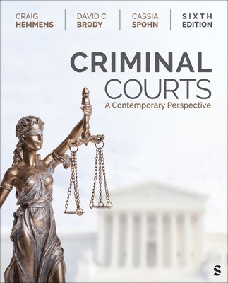 bokomslag Criminal Courts