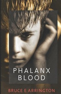 bokomslag Phalanx Blood: Volumes 1-4