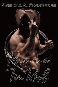 bokomslag Rain on a Tin Roof: A Romance Novel