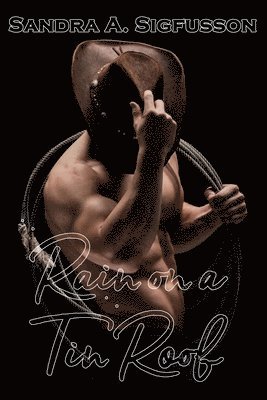 bokomslag Rain on a Tin Roof: A Romance Novel