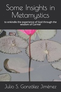 bokomslag Some Insights in Metamystics: to enkindle the experience of God through the wisdom of the Carmel