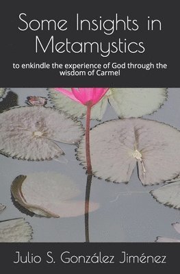 bokomslag Some Insights in Metamystics: to enkindle the experience of God through the wisdom of the Carmel
