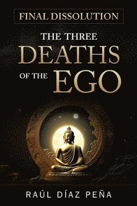 bokomslag Final Dissolution: The Three Deaths Of T