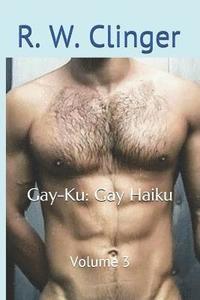 bokomslag Gay-Ku: Gay Haiku: Volume 3