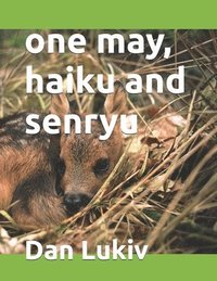 bokomslag One May, Haiku And Senryu
